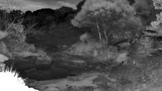 Still 2 from this detection