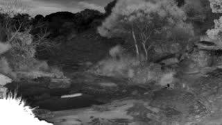 Still 3 from this detection