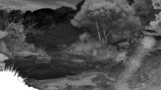 Still 1 from this detection