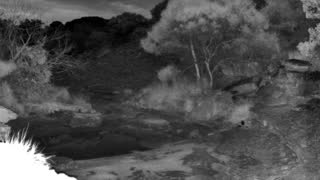Still 2 from this detection