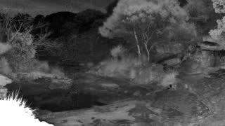 Still 2 from this detection