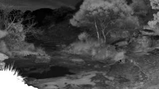Still 1 from this detection
