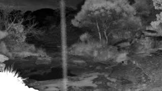 Still 1 from this detection