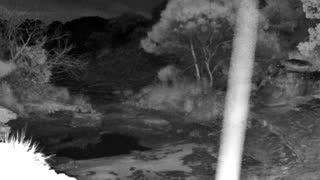 Still 1 from this detection