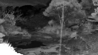 Still 3 from this detection