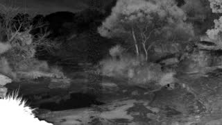 Still 1 from this detection