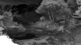 Still 2 from this detection