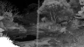 Still 2 from this detection