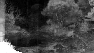 Still 3 from this detection