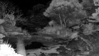 Still 3 from this detection