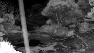 Still 1 from this detection