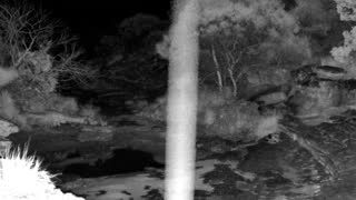 Still 2 from this detection