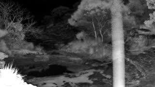 Still 2 from this detection