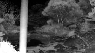 Still 2 from this detection