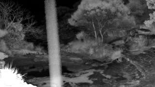 Still 1 from this detection