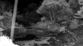 Still 2 from this detection
