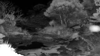 Still 2 from this detection
