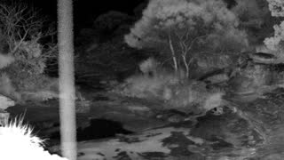 Still 1 from this detection