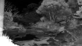 Still 3 from this detection