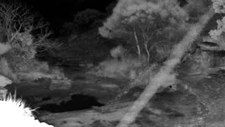 Still 2 from this detection