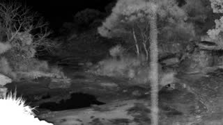 Still 1 from this detection