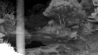 Still 2 from this detection