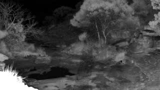 Still 2 from this detection