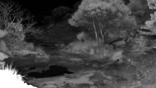 Still 3 from this detection