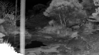Still 1 from this detection