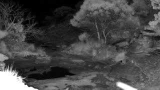 Still 1 from this detection