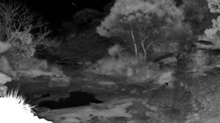 Still 3 from this detection