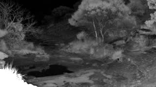 Still 1 from this detection