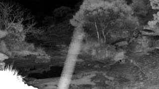 Still 2 from this detection