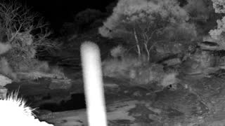 Still 1 from this detection
