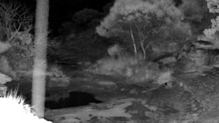 Still 3 from this detection