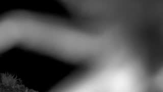 Still 3 from this detection