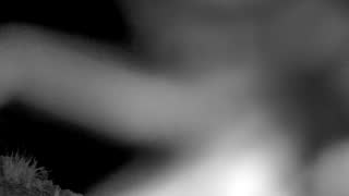 Still 1 from this detection