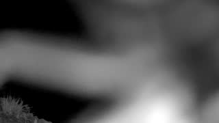 Still 1 from this detection