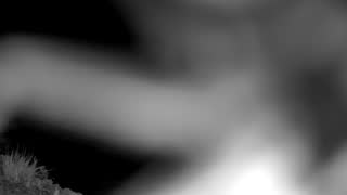 Still 3 from this detection