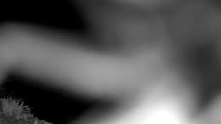 Still 3 from this detection