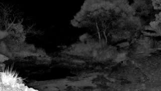 Still 2 from this detection