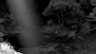 Still 3 from this detection