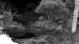 Still 1 from this detection