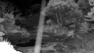 Still 3 from this detection