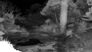 Still 1 from this detection