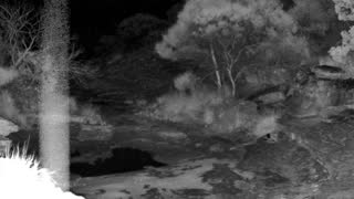 Still 1 from this detection
