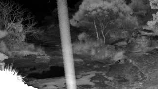 Still 1 from this detection