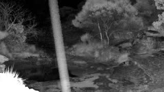 Still 1 from this detection