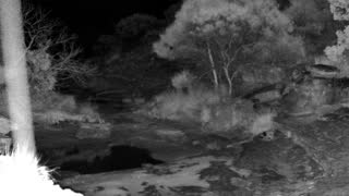 Still 2 from this detection
