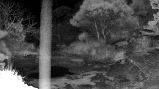 Still 3 from this detection